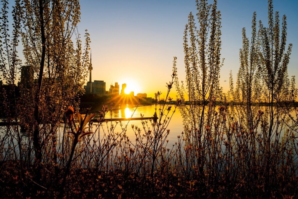 Trillium Park