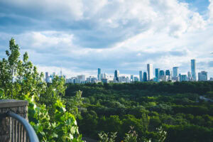 Chester Hill Lookout photos